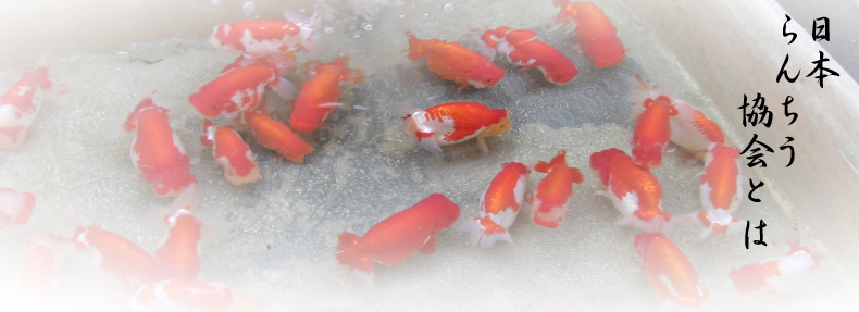 スクリーンショット(2013-07-06 2.10.00).jpg