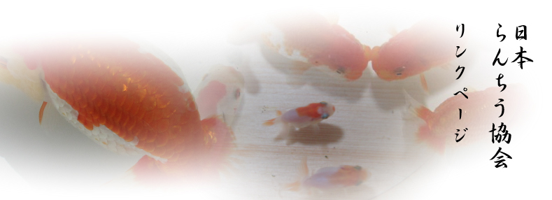 スクリーンショット（2013-07-06 13.44.40）.jpg