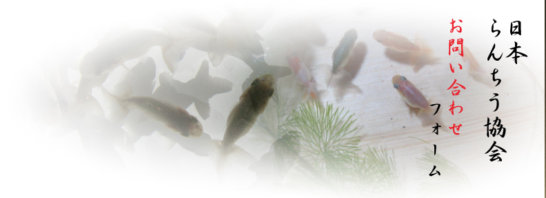 スクリーンショット（2013-07-06 14.53.51）.jpg