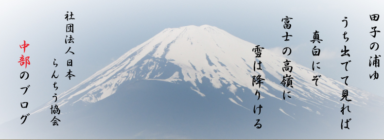 スクリーンショット（2013-07-06 15.34.24）.jpg