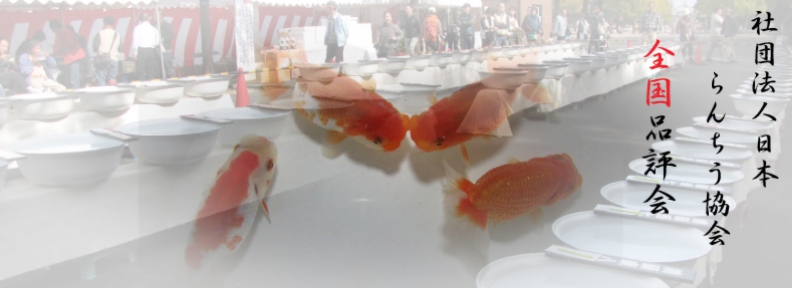 スクリーンショット(2013-07-06 18.13.42).jpg