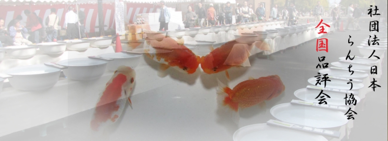 スクリーンショット（2013-07-06 18.13.42）.jpg